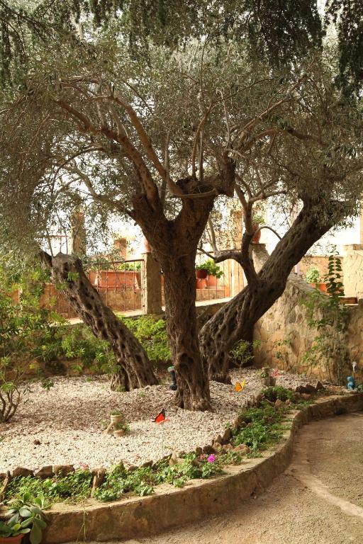 B&B Villa Casablanca Enna Eksteriør bilde